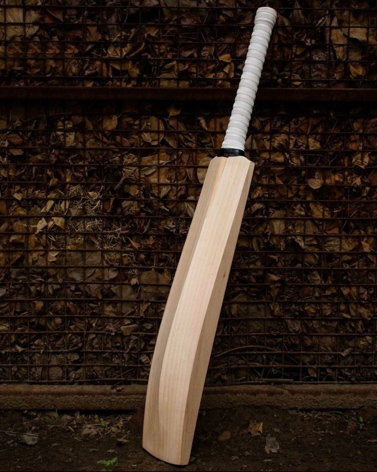 GRADE 3 BATS